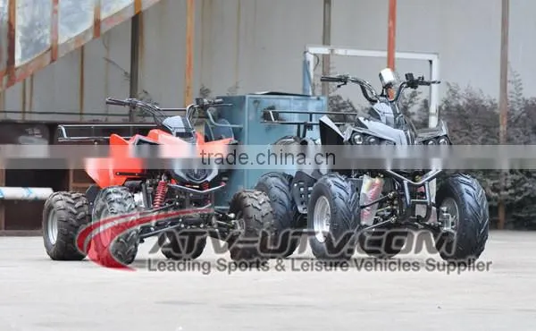 125cc/50cc/70cc/90cc/110cc zhejiang atv 125