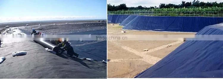 40mil shrimp pond liner geomembrane