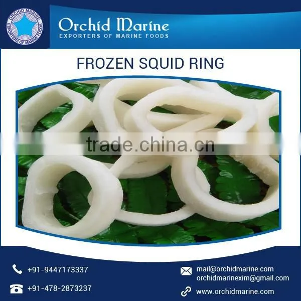 Rich Aroma Dried Squid Rings with No Added Chemicals or Preservatives