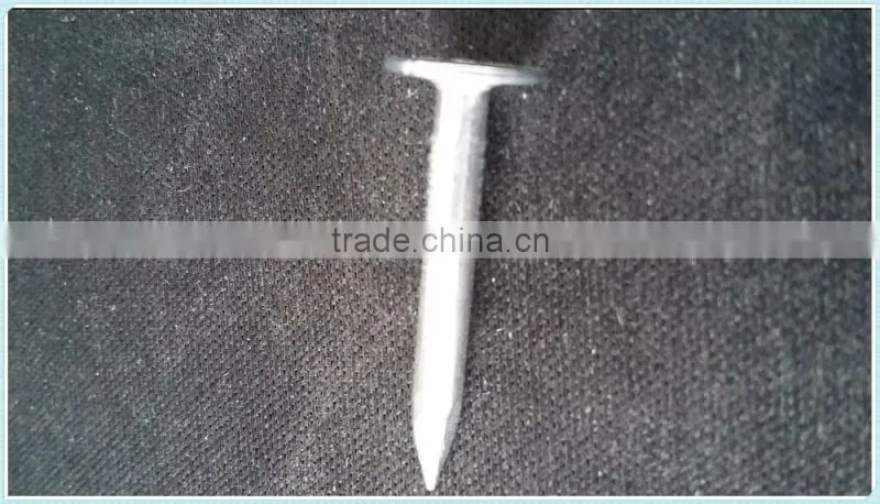 coil roofing,factory direct sale nails