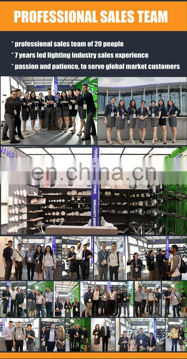 Faner BIS certification high quality new design IP66 10W 20W 30W 50W 100W 150W 200W LED flood light
