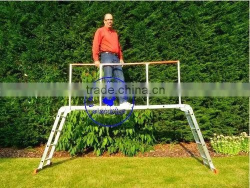 Multi Purpose Ladder Safety Handrail