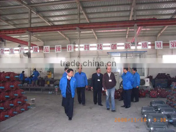 High-quality YLJ torque motor