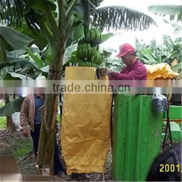 Factory direct supply banana fruit protection bags