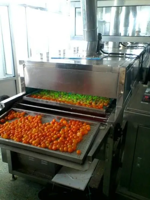 Egg Cleaning Sorting Packing Line
