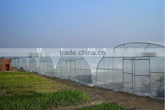 galvanized multi-span cheap greenhouse