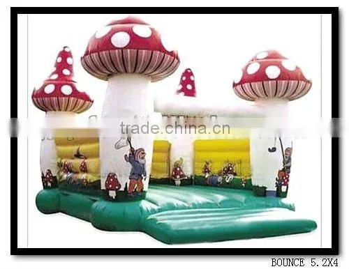 Inflatable bounce