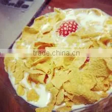 Doritos Machine/ Corn Chips Snacks Machine/fried chips machine