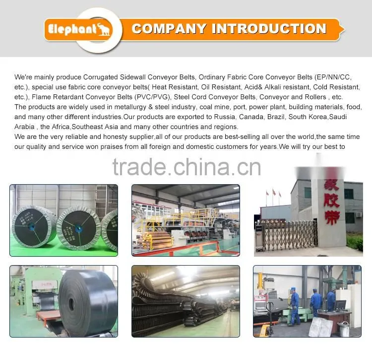 Elephant Belt Light Duty PVC PU PE Conveyor Belt