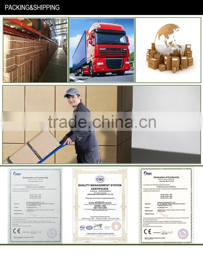 600CC Hand Operated Engineering Grease Gun with Pressure 6000-10000 PSI, Professional Manufacturer For More 10 Years!