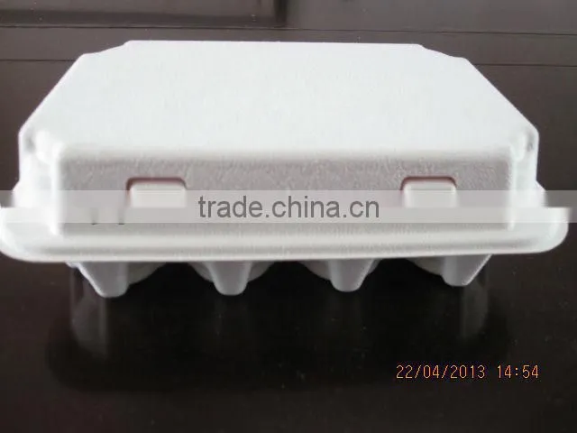 10 Eggs Sugarcane Fiber Moulded Pulp Chicken Egg Tray