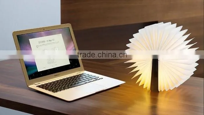 Mini Version LED WOODY Book Lamp