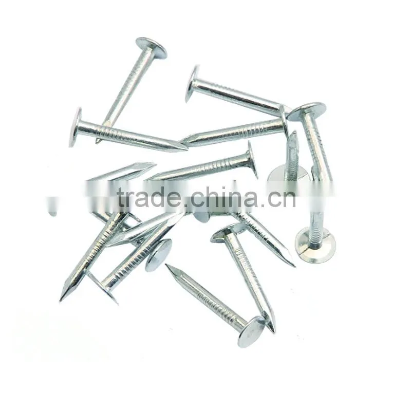 Clout nails ceiling nail factory 3MM thickness