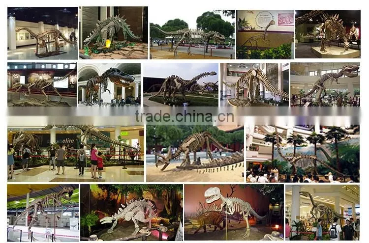 life size dinosaur head skeleton made by ziong city dinosaur manufacture