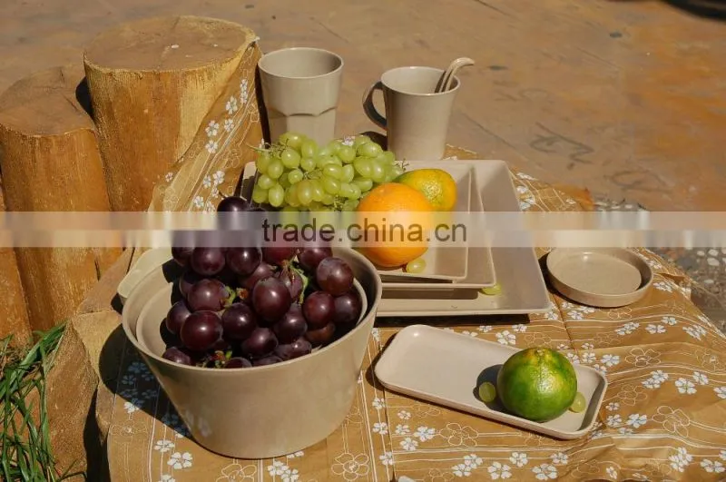 biodegradable organic camping dinnerware set