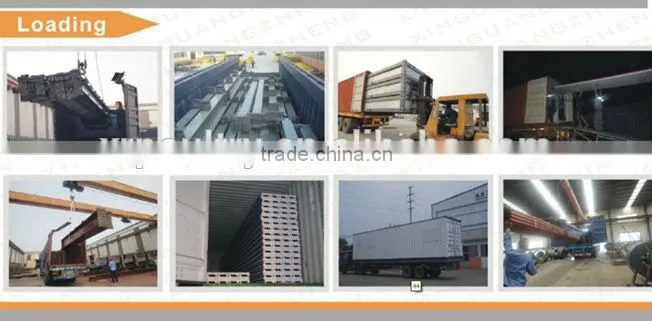 Professional high quality steel poultry shed/house for broiler