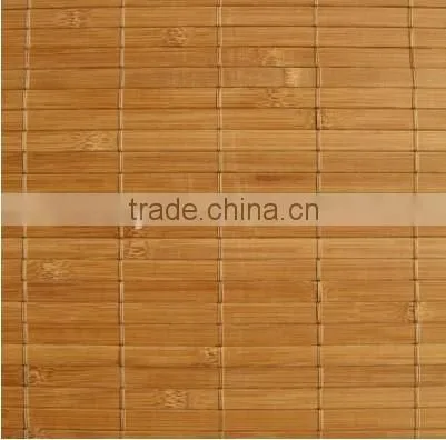Wall Panel Covering