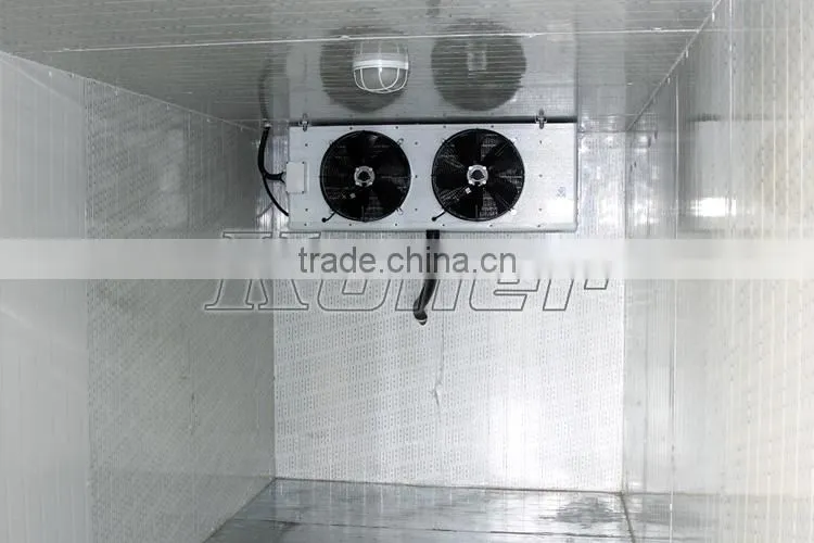 Koller cold room fixed inside 20 GP 40 GP/HQ Container