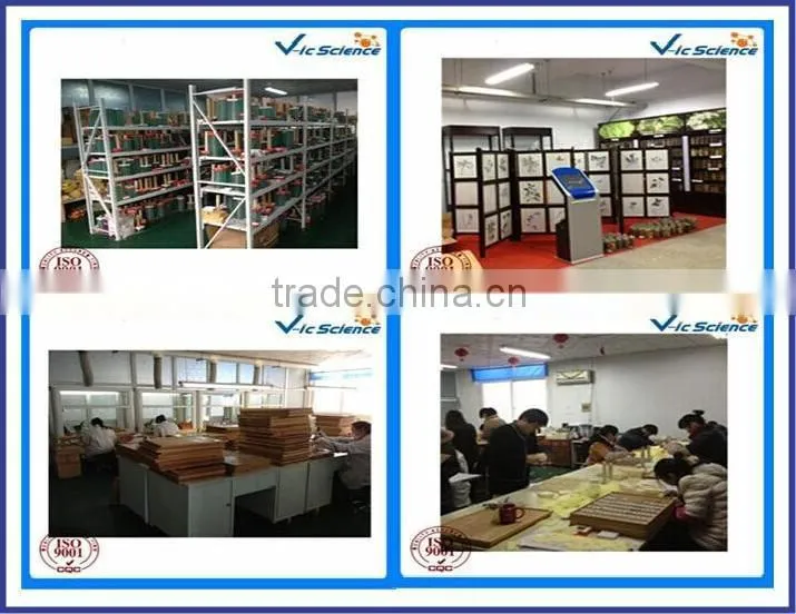 School science lab equipment microscope slides and cover glass slides