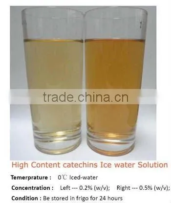 90% Polyphenols / 40% EGCG in Green Tea