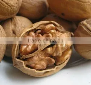 Walnut in high quality