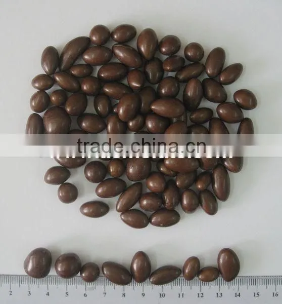 Wholesale Chocolate Coated Raisin