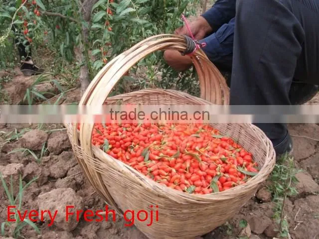 Goji Berry farm sale 380g/50