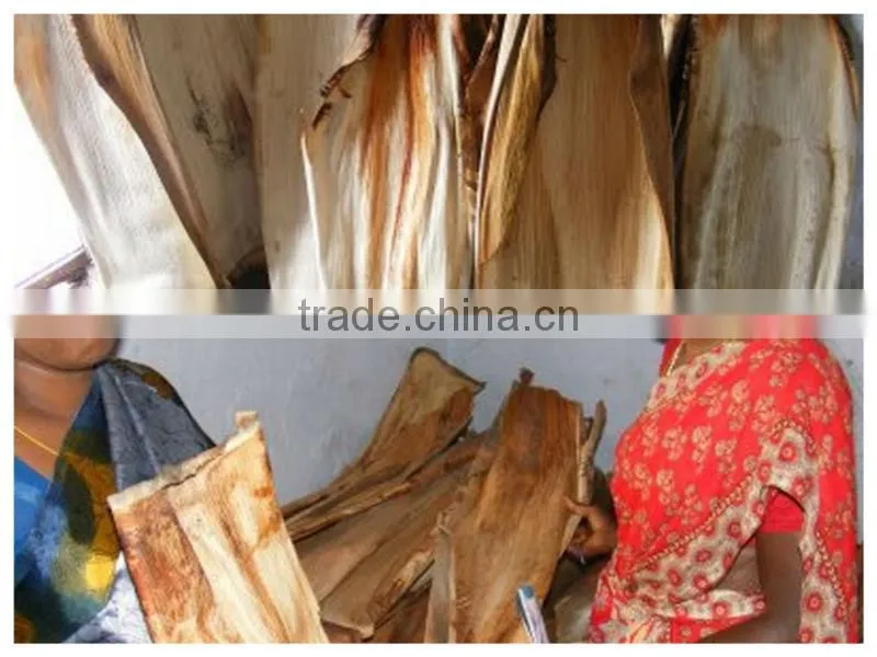 Natural Leaf Plates