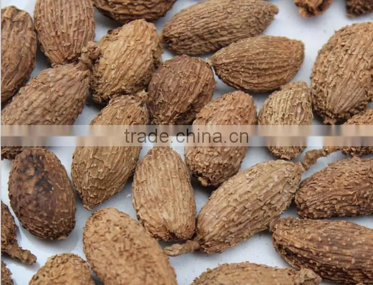 Best Price Cardamom