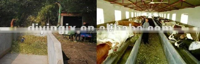 fresh stalk crusher for cow feed