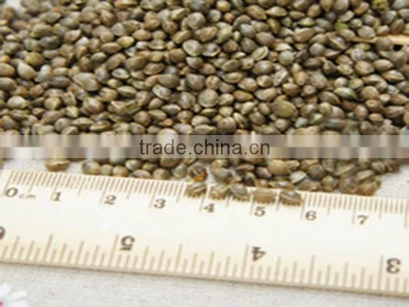 Health supplement virgin organic hemp seed oil Omega 6/3