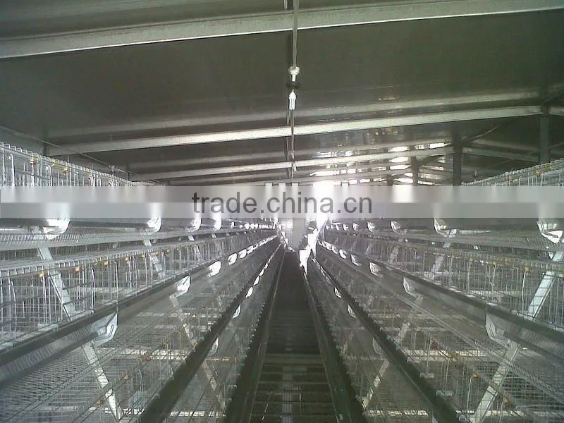 Poultry Battery Cages