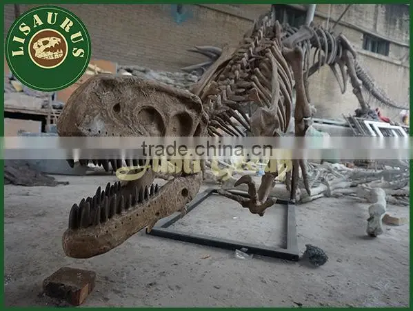 Lisaurus-0852 Display dinosaur skeleton mould model for sale