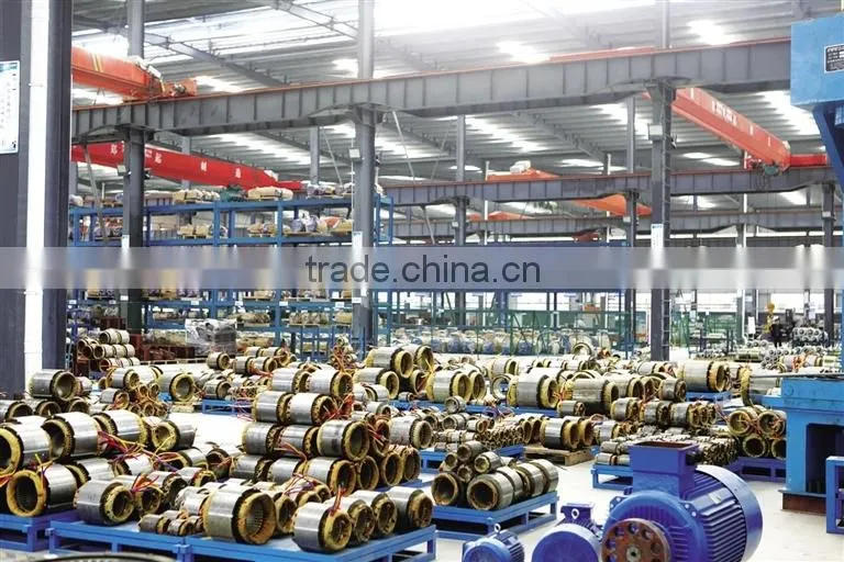 Y,Y2 three phase phase totally enclosed electric motor
