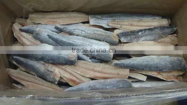 Frozen IQF Spanish Mackerel Fillet IQF Scomberomorus Niphonius King Fish Fillet