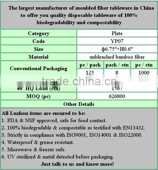 Christmas Kitchen Dinner compostable biodegradable organic fiber plate in food packaging