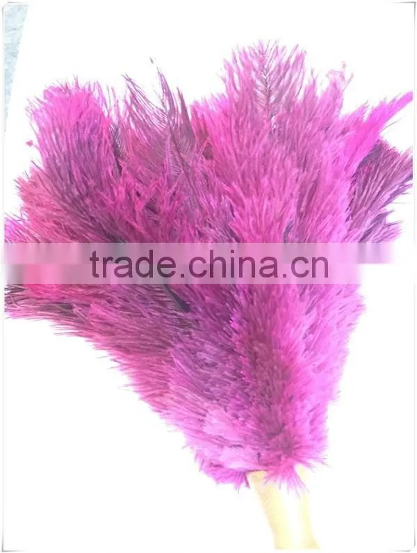 Professional Ostrich Feather Duster