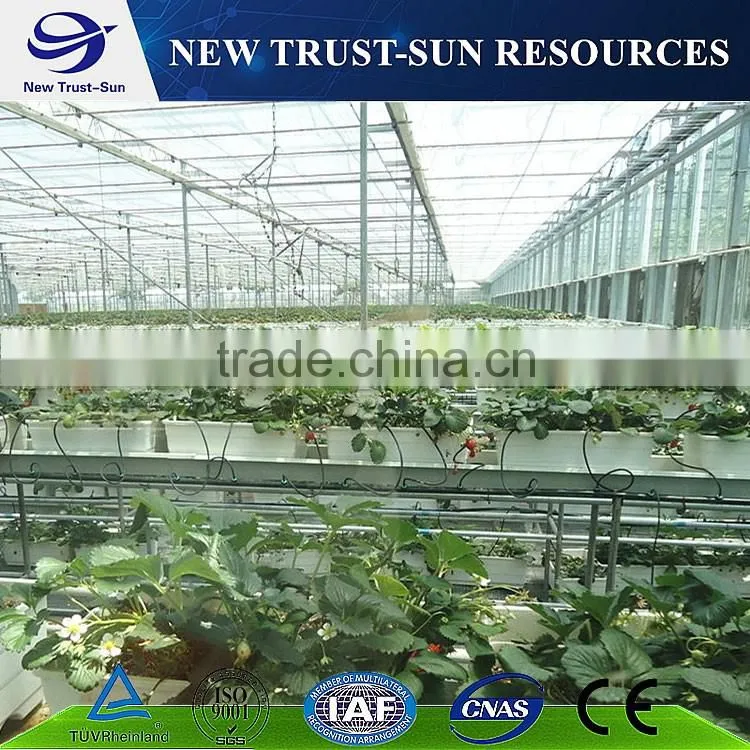 Polycarbonate/PC multi-span agricultural greenhouse