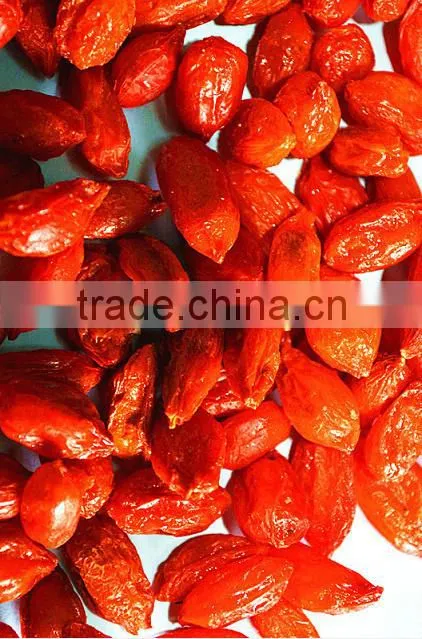 industrial microwave vacuum tomato paste drying machines