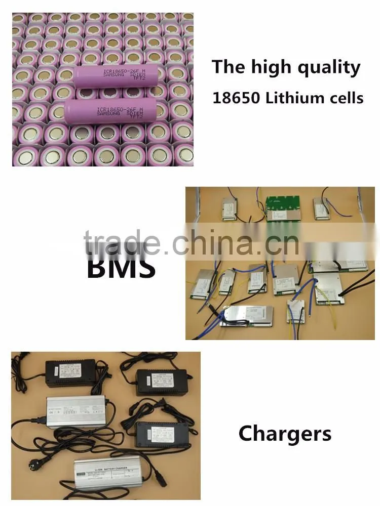 E-bike lithium battery pack 48V 10Ah Bicycle Carrier type battery