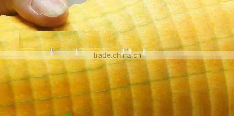 Pawpaw peeler equipment with capacity 240pcs/h