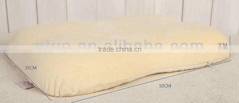 Best Selling Teenager Pillows/Student pillows/Contour memory Foam Pillows