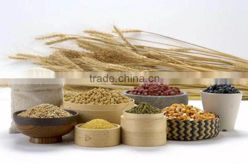 Healthy Breakfast Soybean Flavor Instant Nutritious Cereal