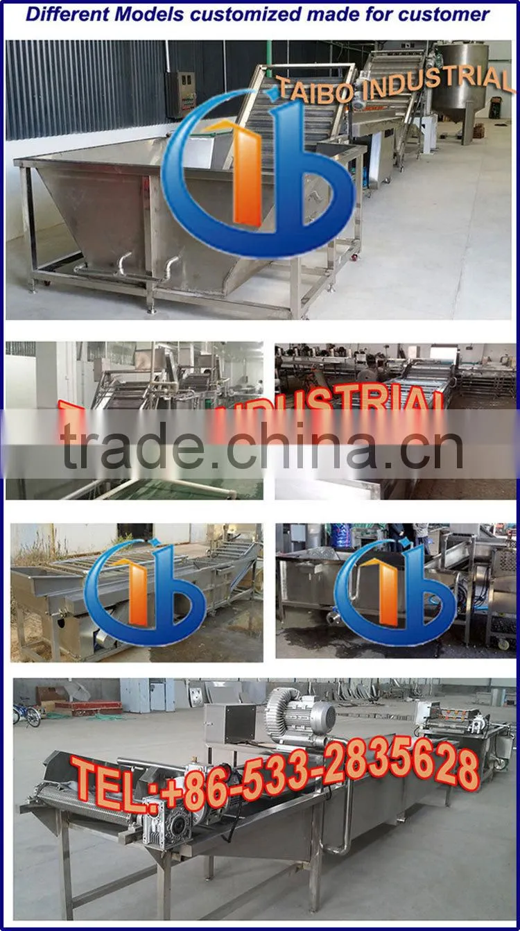 Washing tank for fruits for berry cleaning machine/ washing of apples