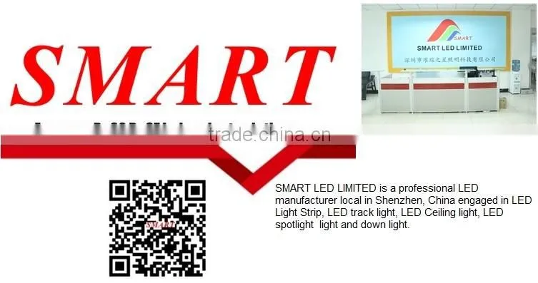 New Design, DC24V RGBWW 4 Color in 1 Led SMD 5050 RGBW Led Strip Light