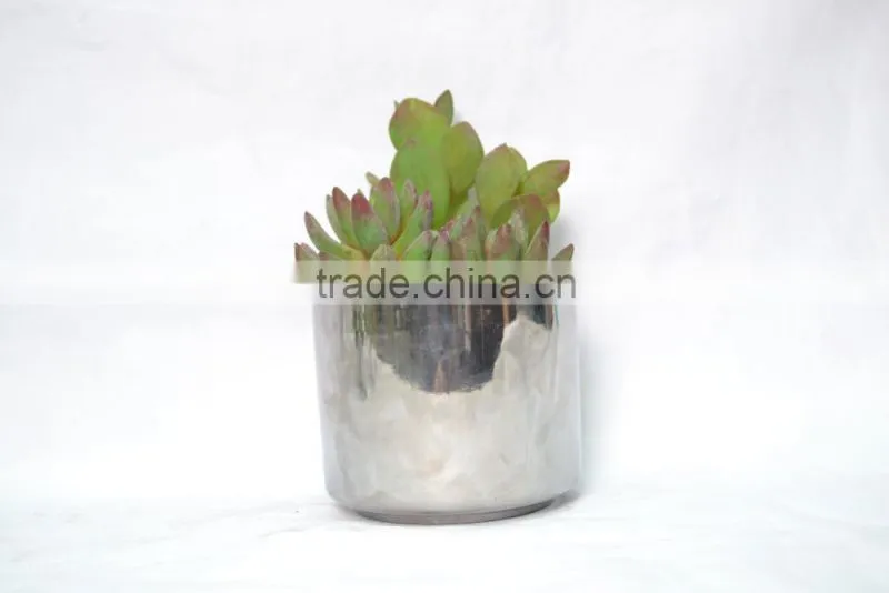 Mini Artificial succulent plants with plastic pot for indoor decoration