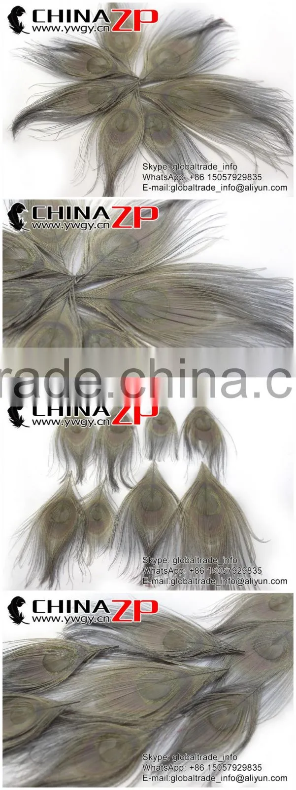 No.1 Supplier ZPDECOR Wholesale Selected Prime Quality Dyed Grey Trimmed Short Peacock Feathers for Decoration