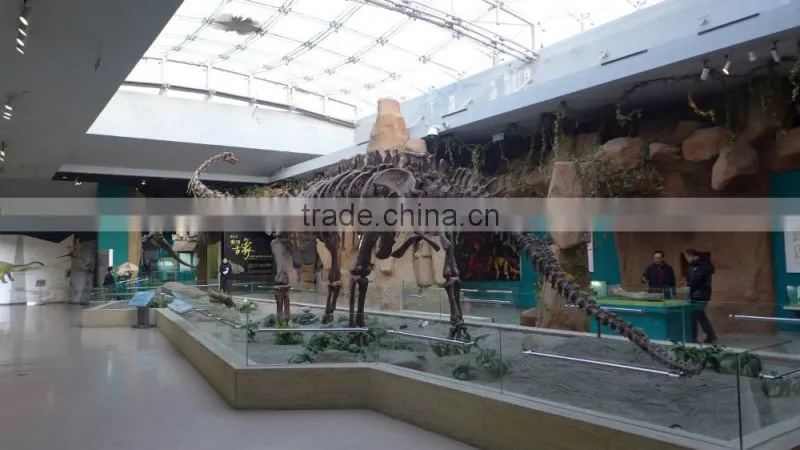 Dinosaur Skeleton In the park