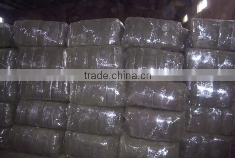 stevia rebaudiana in bulk