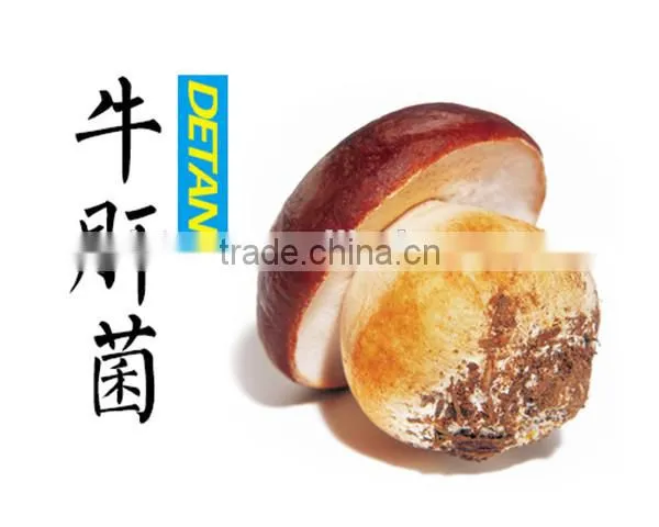 Reliable supplier Boletus Edulis